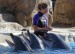SWC Dolphin Discovery show (5)